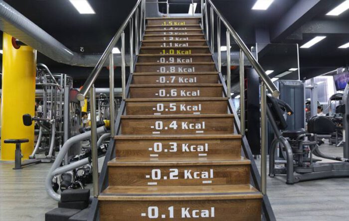 Professional Line Fitness Center Merkez Şube